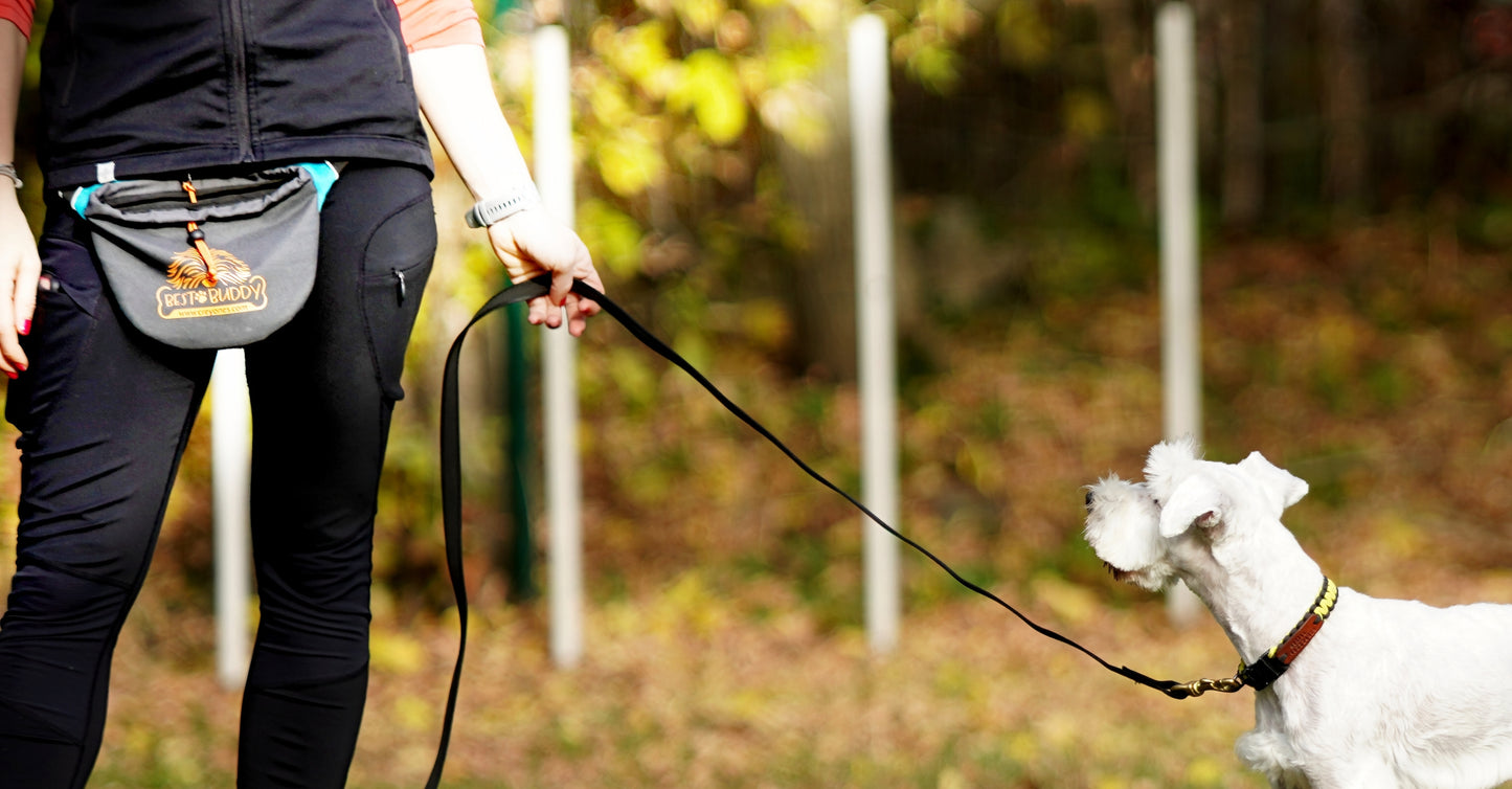 Best Buddy pouch - Turquoise-purple